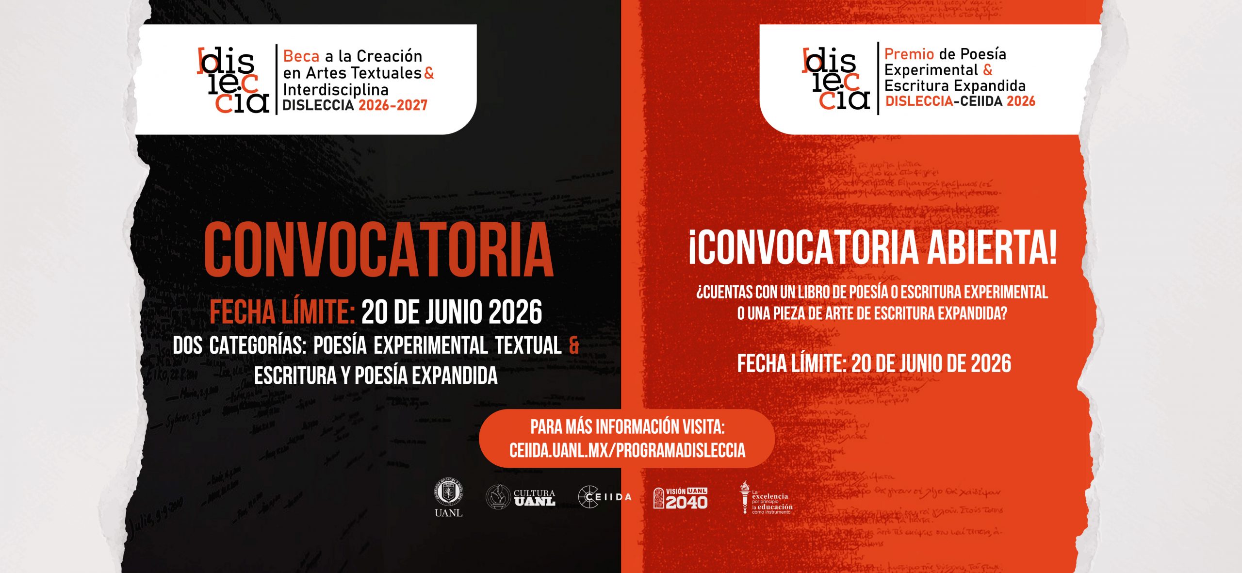 banner web DISLECCIA